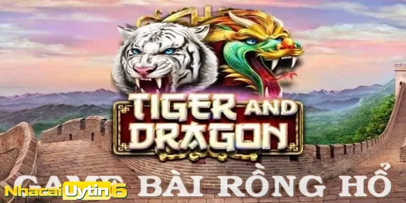 Bí quyết chọn cửa trong rồng hổ để giành chiến thắng dễ dàng hơn