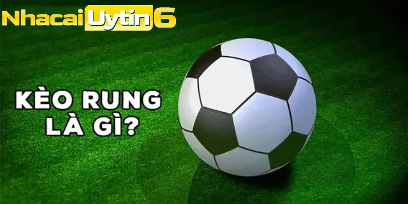 Lợi ích khi nắm vững cách xem kèo rung