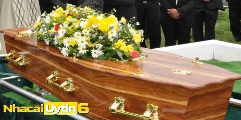 Những điều cần biết để hiểu đúng điềm báo