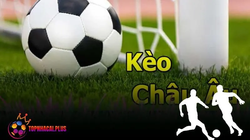 Kèo Châu Âu là gì? Các kiểu kèo phổ biến và cách đọc hiệu quả