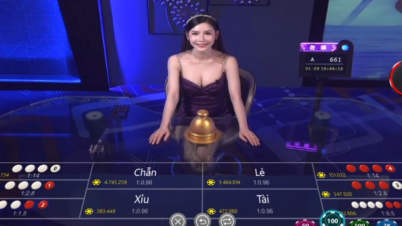 Công cụ hỗ trợ chơi live casino cung cấp gợi ý cho người chơi