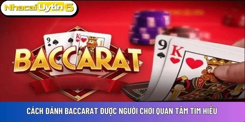 Cách đánh Baccarat được người chơi quan tâm tìm hiểu