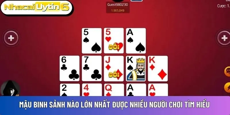 Mậu Binh sảnh nào lớn nhất được nhiều người chơi tìm hiểu