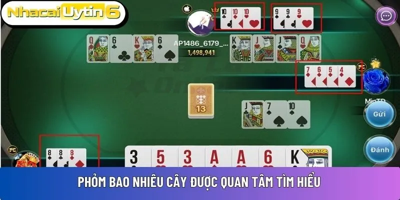 Phỏm bao nhiêu cây được quan tâm tìm hiểu