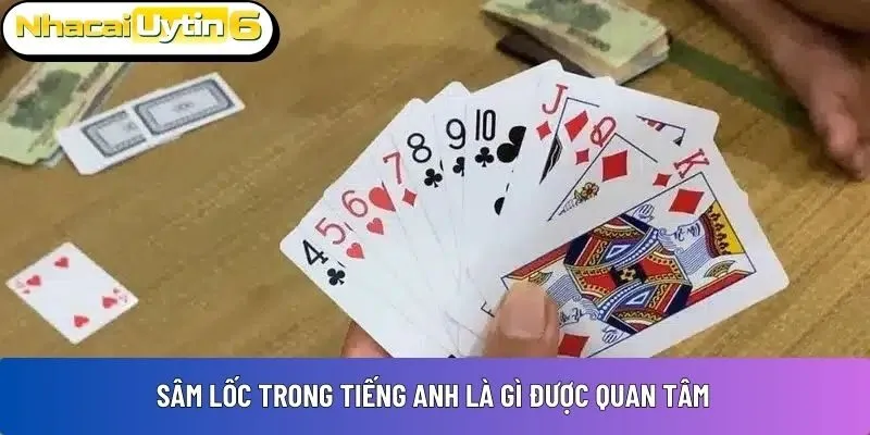 Sâm Lốc trong tiếng Anh là gì được quan tâm